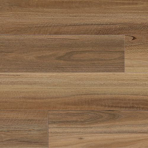northern spotted gum hybrid flooring