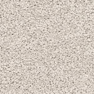 solution dyed nylon carpet quartz
