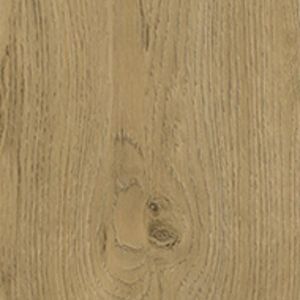 A close up of a piece of wood with a knot in it.
