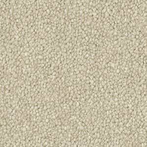 A close up of a white carpet texture.
