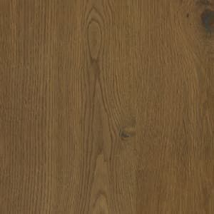 scarlet oak timber