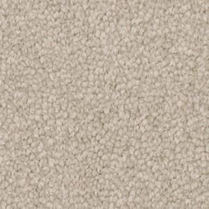 Triexta Carpet in the colour shortbread
