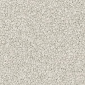 Triexta Carpet in the colour silk paper