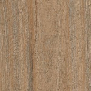 A close up of a piece of wood showing the grain and texture.