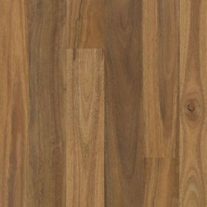 spotted gum timber flooring