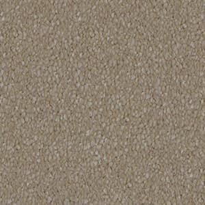 A close up of a beige carpet texture.