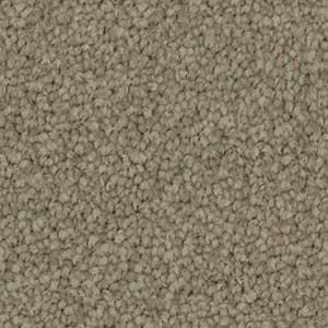 A close up of a beige carpet texture.