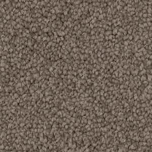A close up of a brown carpet texture.