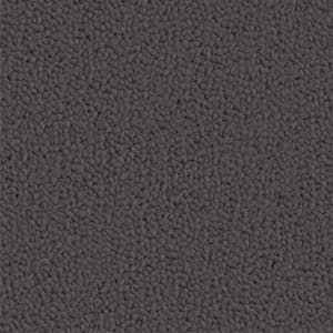 trojan wool carpet