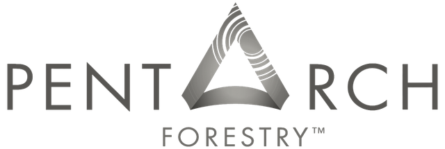 A gray logo for national flooring distributors on a white background