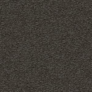 A close up of a gray carpet texture.