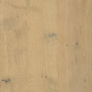 willow oak timber