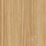 alpine blackbutt