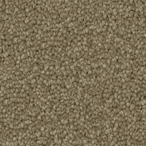 ambrosia triexta carpet