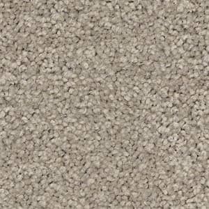 A close up of a beige carpet texture.