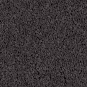 blackout triexta carpet