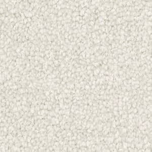 Triexta Carpet in the colour bleached shell