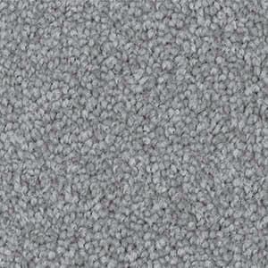 blueprint triexta carpet