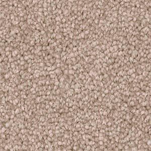 Triexta Carpet in the colour blush