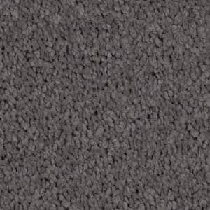 burrow triexta carpet
