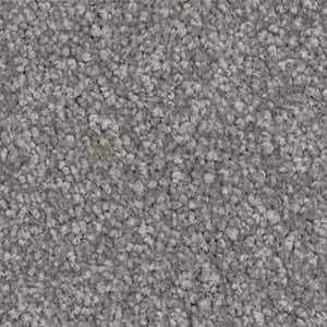 cadet solution dyed nylon carpet