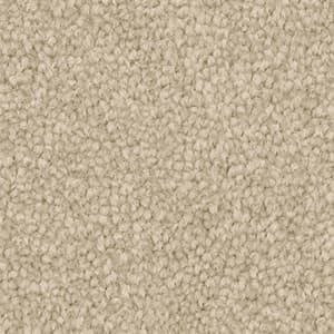 Triexta Carpet in the colour cameo