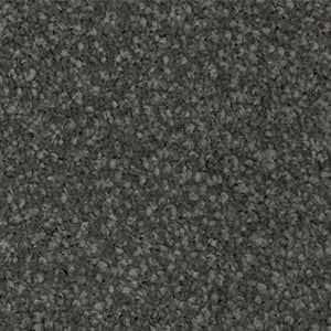 captain solution dyed nylon carpet