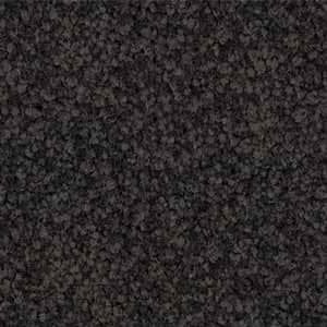 carbon solution dyed nylon carpet
