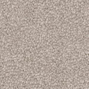 Triexta Carpet in the colour cargo beige