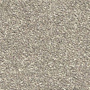 ceramic solution dyed nylon carpet