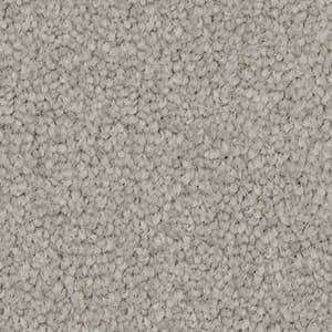 A close up of a gray carpet texture.
