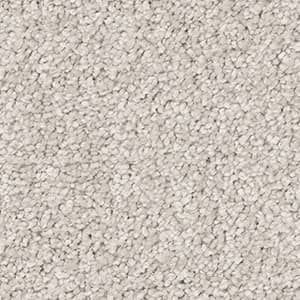 A close up of a white carpet texture.