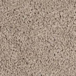 clay path triexta carpet