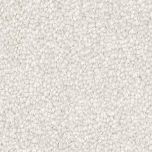 A close up of a white carpet texture.