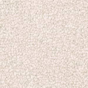 Triexta Carpet in the colour coconut