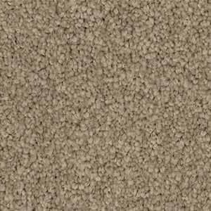 colonial solution dyed nylon carpet