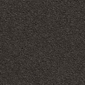 dark shadow solution dyed nylon carpet