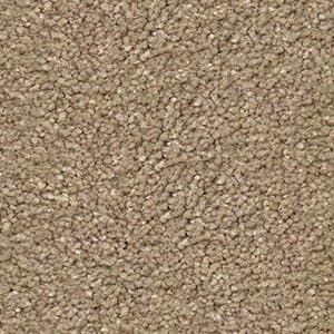 dazzling triexta carpet