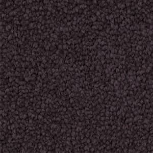 Triexta Carpet in the colour deep purple