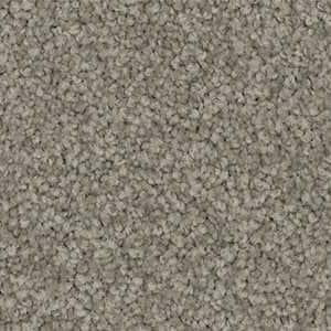 defence solution dyed nylon carpet