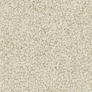Triexta Carpet in the colour dove white