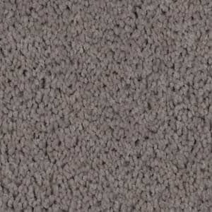 dust cloud triexta carpet