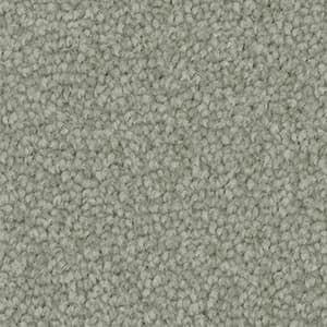 A close up of a gray carpet triexta texture.
