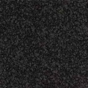 fort solution dyed nylon carpet