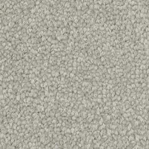 frosty touch triexta carpet