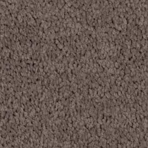 funghi triexta carpet
