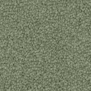 A close up of a green carpet texture.
