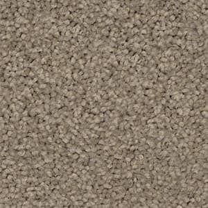 A close up of a beige carpet texture.