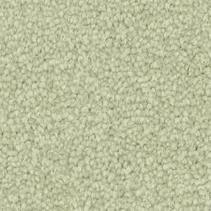 A close up of a light green carpet texture.