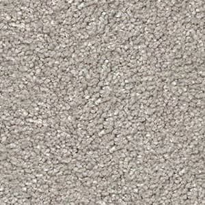 iridescent triexta carpet